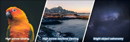 Triptychon der naturfotografie mit einem bunten papagei, einer berglandschaft und einem nächtlichen sternenhimmel.