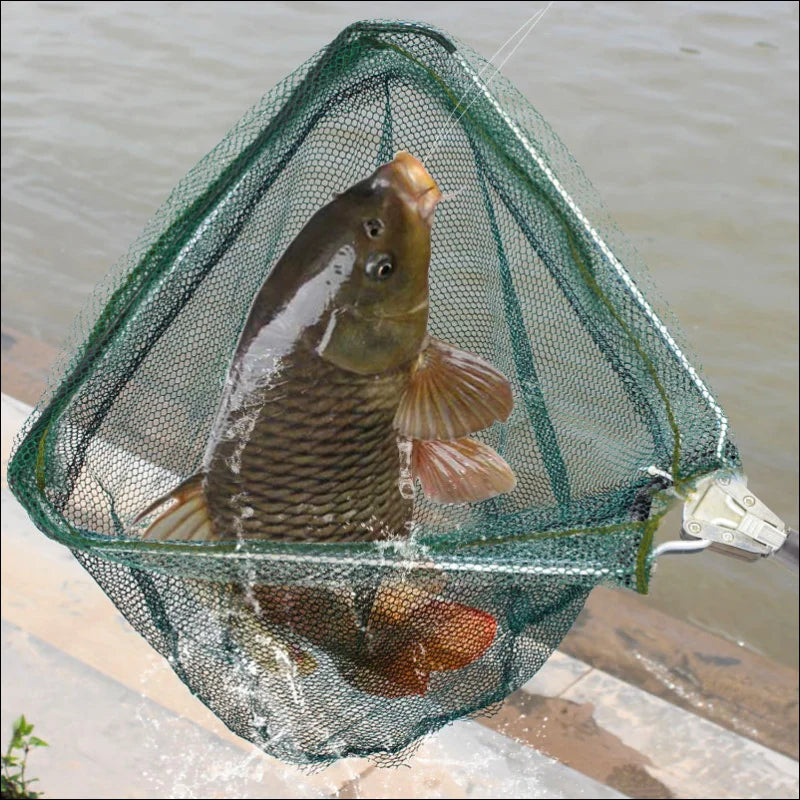 Teleskopkescher für vielseitiges Fliegenfischen