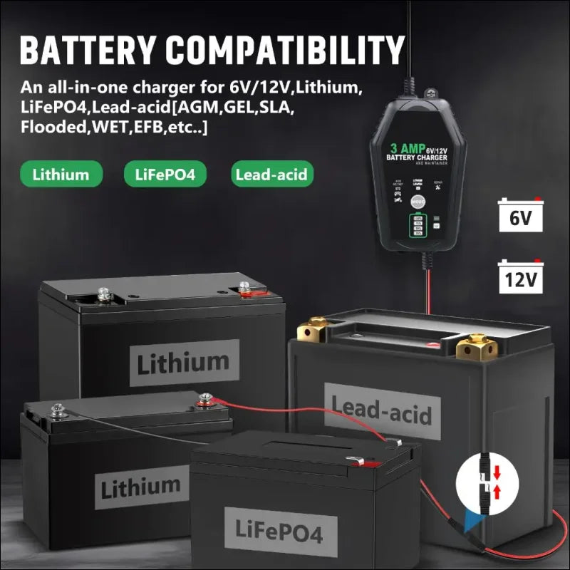 Intelligentes batterieladegerät für 6 v 12 lifepo4 - batterien camping ausstattung 2