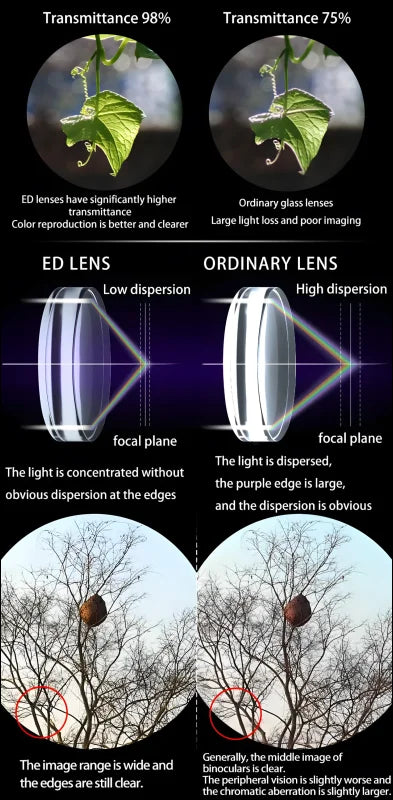 Vergleich von ed-objektiven (extra-low dispersion) mit normalen objektiven, der die unterschiede in lichtdurchlässigkeit, farbwiedergabe und bildqualität zeigt.