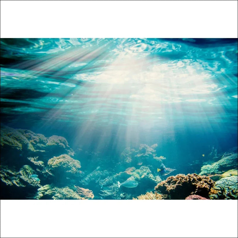 Blaues wasser aquarium: ozean tiefe xxl-aquarium wandbild mit sonnenlicht und korallen